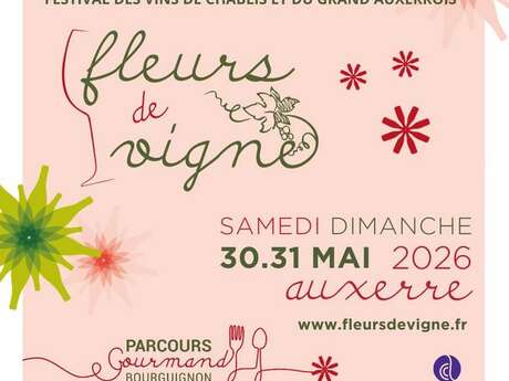 Fleurs de Vigne