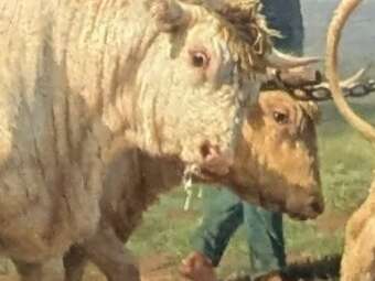 Exposition Rosa Bonheur
