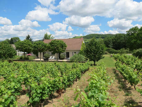 Meublé "Les Vignes de Paris"