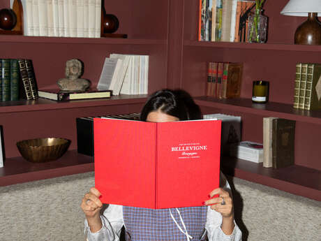 Bellevigne Bourgogne