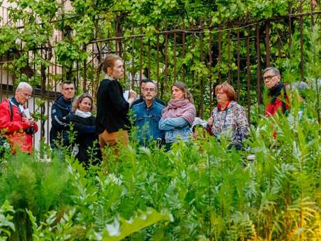 Hôtel-Dieu - Hospices de Beaune
Programmation 2025 - HUMANITÉ
Ateliers des sens "Du remède au parfum"