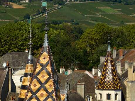 Hôtel-Dieu - Hospices de Beaune
Programmation 2025 - HUMANITÉ
Patrimoine vivant