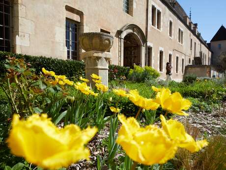 Hôtel-Dieu - Hospices de Beaune
2026 - MOUVEMENT(S)
[ATELIER GUSTATIF] Saveurs du soin