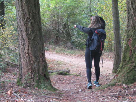 Rando nature famille