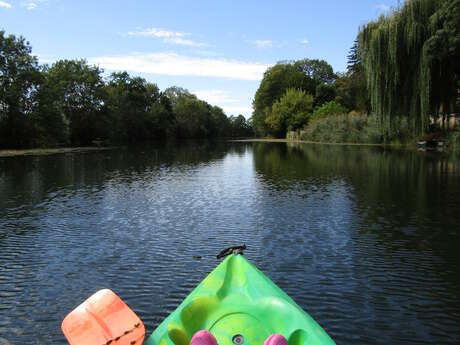 Pagayer sur l'Ognon (canoë-Kayak et paddle) - Onlycamp