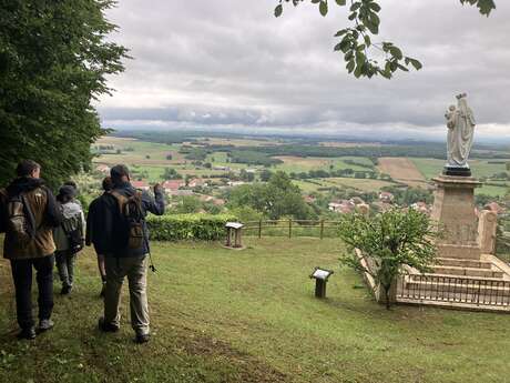 Le sentier du Mont Gédry