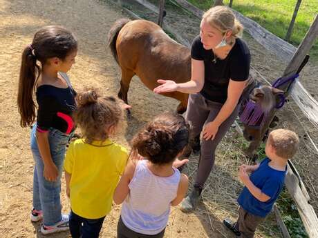 Le petit ranch de Jenni