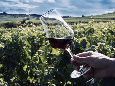 Safari tours - Dijon : Côte de Nuits