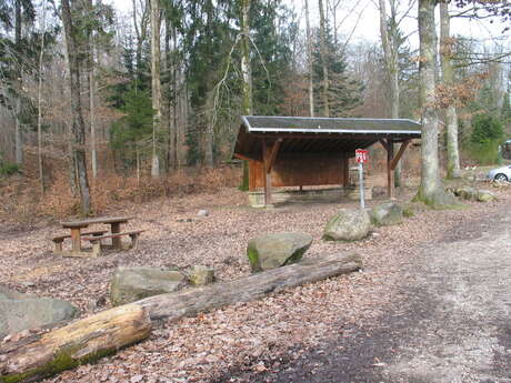 Aire de pique-nique de la forêt du Banney