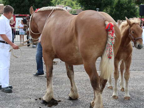 Cavale Comtoise