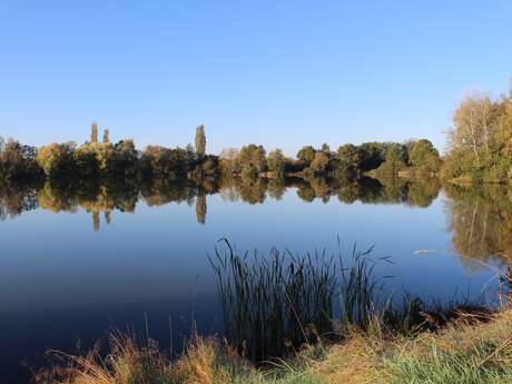 Plan d'eau de Roye