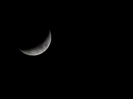 Spéciale Halloween - à la découverte des mal-aimés