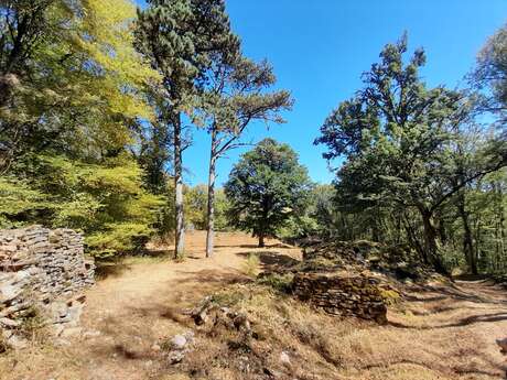 Camp néolithique de la Montagne de la Roche