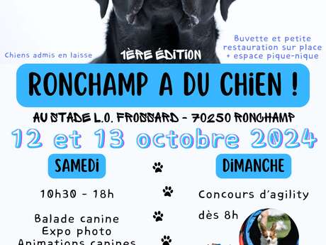 Ronchamp a du Chien !