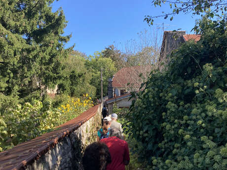 Visite guidée