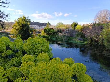 Visite de Beaune "entre cours & jardins" - avec atelier olfactif