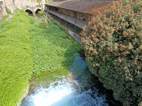 Visite de Beaune "entre cours & jardins"