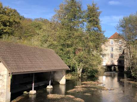 Rivière piscicole de la Reigne