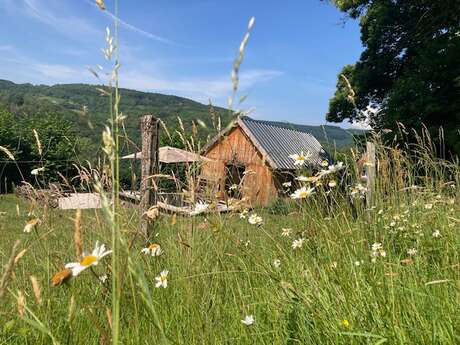 Chalet Au Bois Du Haut Folin