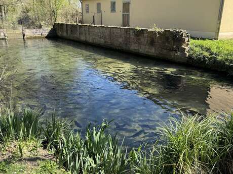 Ferme Aquacole de Crisenon