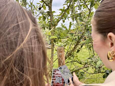 Wine Hunt – La Chasse au Trésor Œnologique
