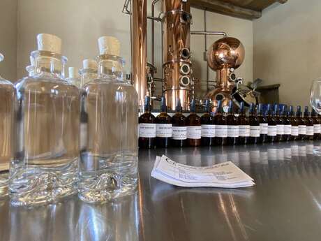 Ateliers récréatifs autour du gin - Distillerie du Clos Saint Joseph