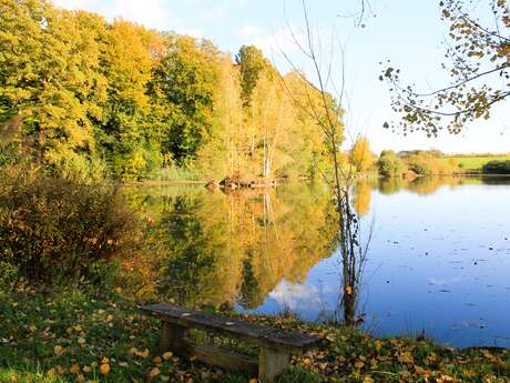 La Boucle des Bruyères