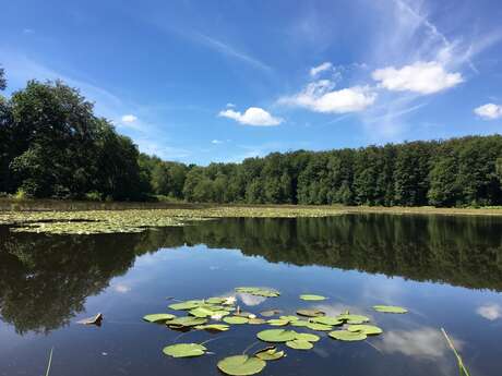 Circuit des Pierres et des Etangs