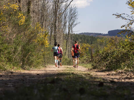 Circuit de Trail : Boucle n°1 de Chateau-Chinon