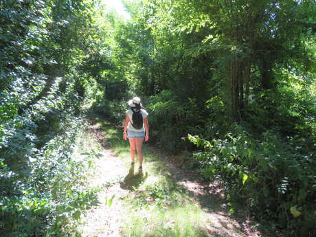 La Forêt des Hauts Bois