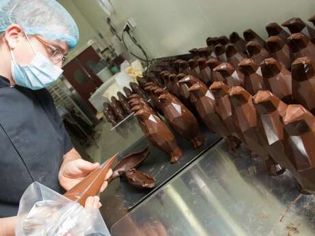 Vélo & Douceurs | Visite et dégustation dans une fabrique de biscuits
