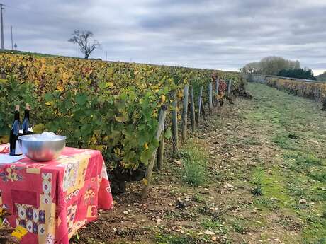 Mission vigneron :  l'âme d'un terroir, le défi entre vos mains