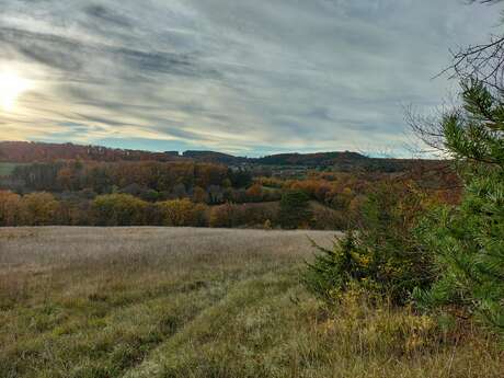 Le reveil du bois de Montfée_ENS2026
