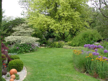 Le jardin des vieilles vignes