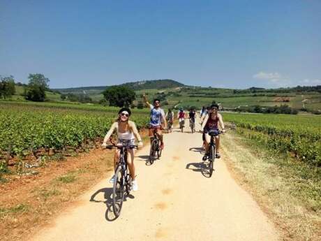 Journée vélo et vin en Côte de Beaune