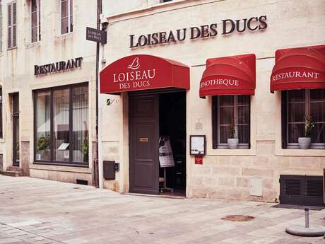 Loiseau des Ducs