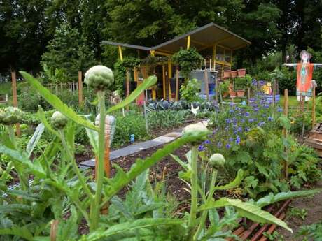 Bienvenue dans mon jardin au naturel, pour l'eau et la santé