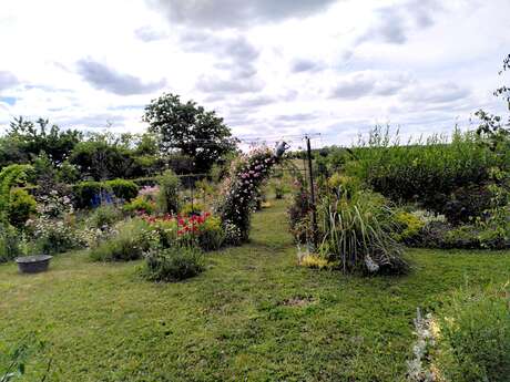 Bienvenue dans mon jardin au naturel, pour l'eau et la santé !