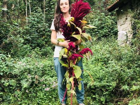 Julie Laforet Artiste