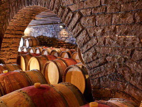 Domaine Besancenot - Vente des Vins 2026 : Dégustation Spéciale Vente de vins de Beaune (6 vins)