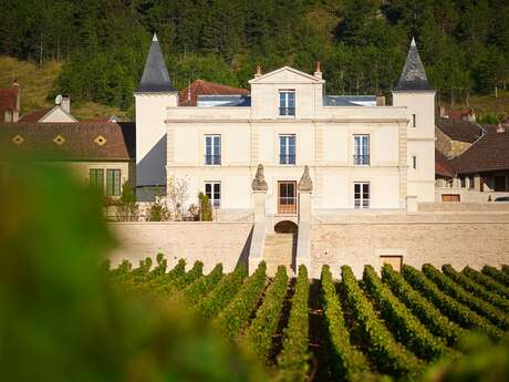 Vignobles en scène : rendez-vous « Vins et Théâtre » au Château de Saint Aubin