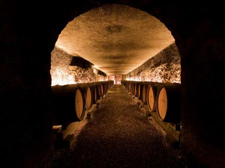Marché aux Vins - Dégustation Découverte