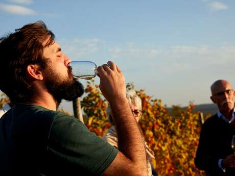 Domaine François et Blandine Rocault – « vis ma vigne » : l’éveil des sens dans les Hautes-Côtes de Beaune