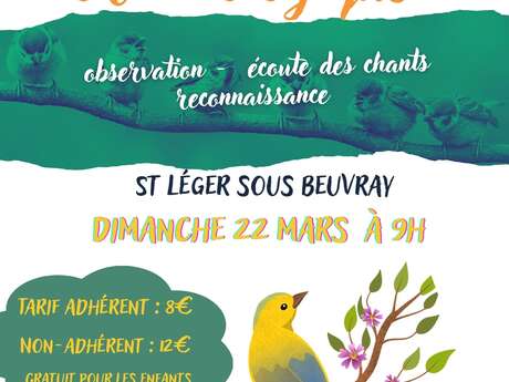 Balade ornithologique