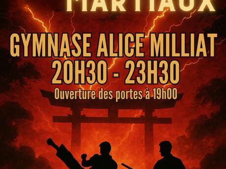 La nuit des arts martiaux
