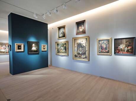 Musée des Beaux-Arts en lumière