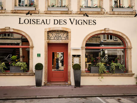 Loiseau des Vignes