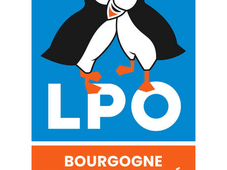 Observation et baguage sur une mangeoire à Fougerolles