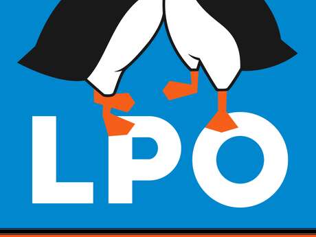 Fête de la nature : découverte des chants d'oiseaux aux Forges de Perreuil