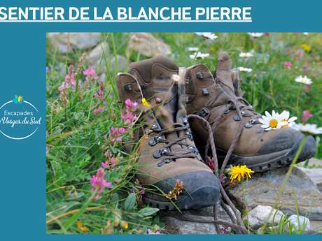 SENTIER DE LA BLANCHE PIERRE